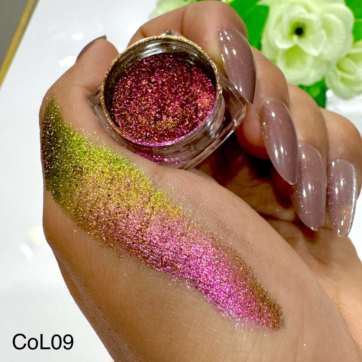 Chameleon Colour Pigment (09)